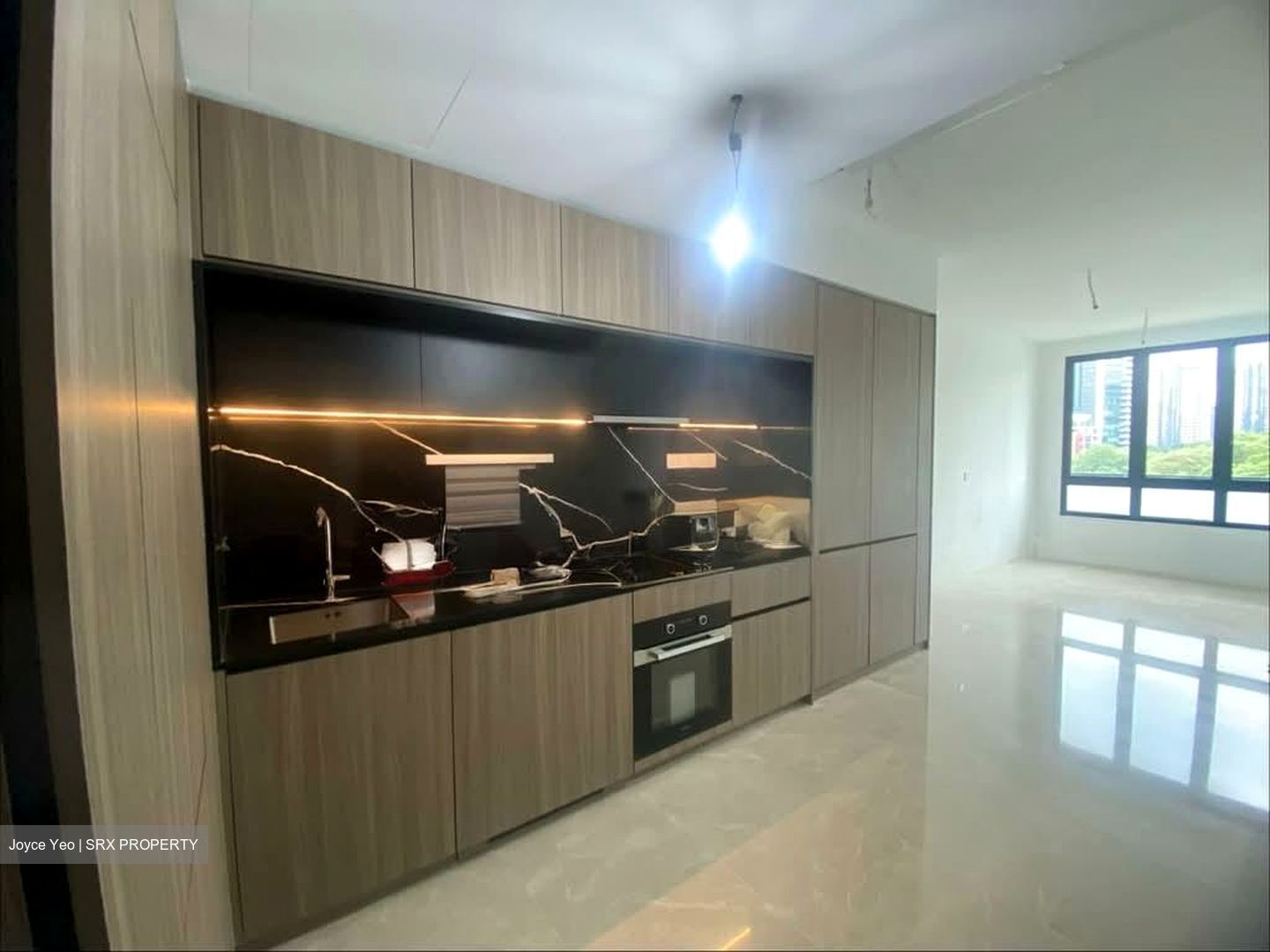 Irwell Hill Residences (D9), Apartment #549536821